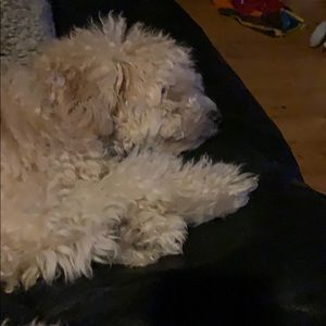 Meet your Posher, Mandy